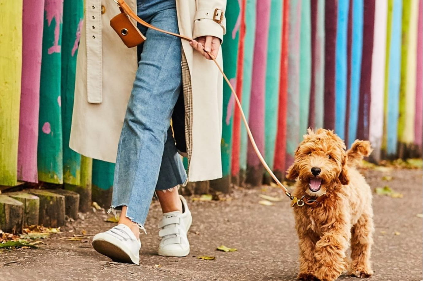 7 Best Dog Poop Bag Holders for Walking Ease 7 Best Dog Poop Bag Holders for Walking Ease