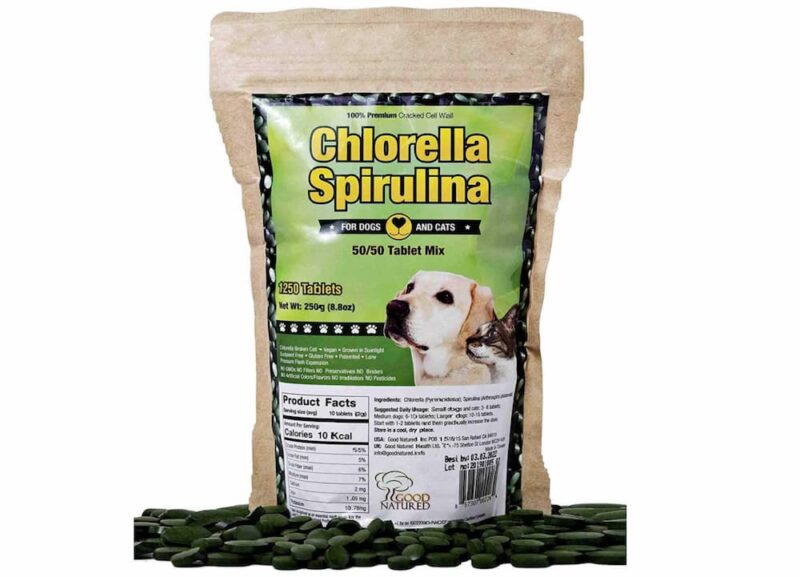 Spirulina for Dogs Benefits and Uses Great Pet Care