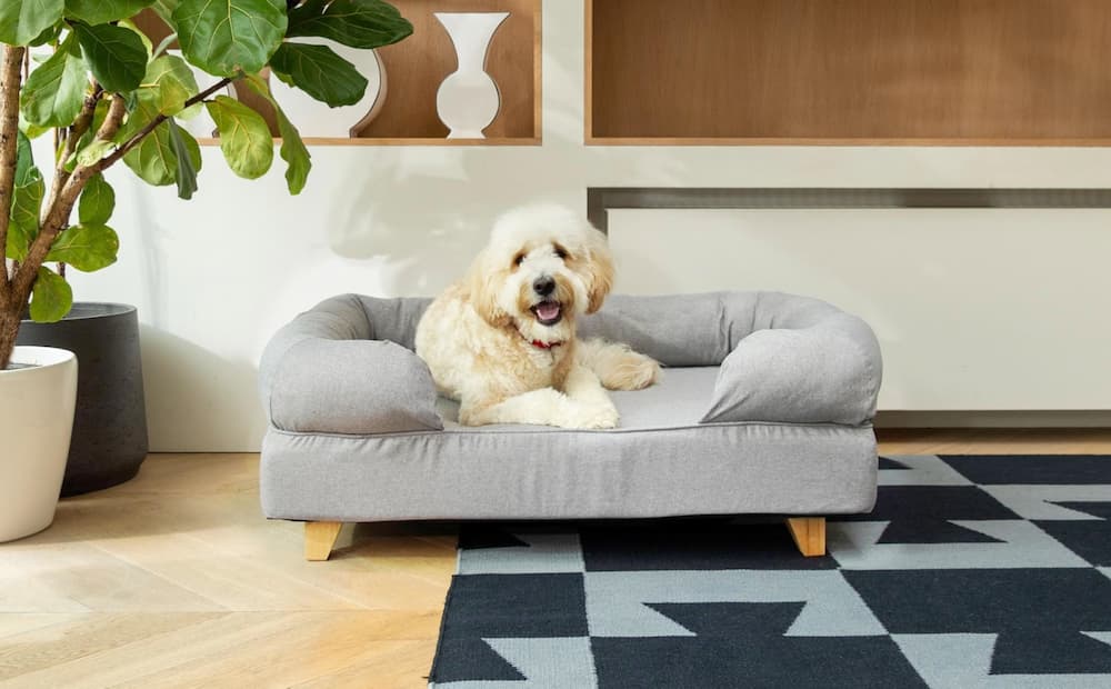 Omlet bolster dog bed
