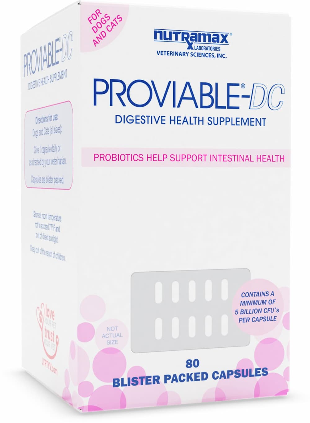 6 Best Probiotics for Dogs and Cats Great Pet Care