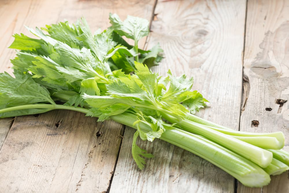 Celery stalks sitting on a wooden background