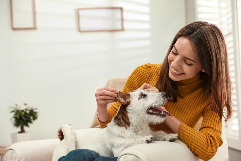 best itch relief for dogs