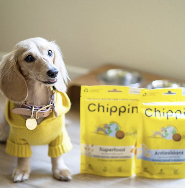 Get 25% Off Your First Order of Chippin Pet Get 25% Off Your First Order of Chippin Pet