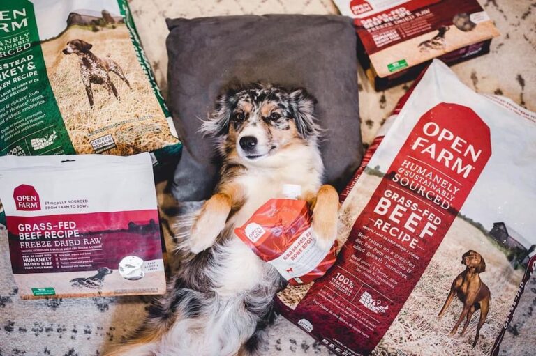 dog surrounded by Open Farm products
