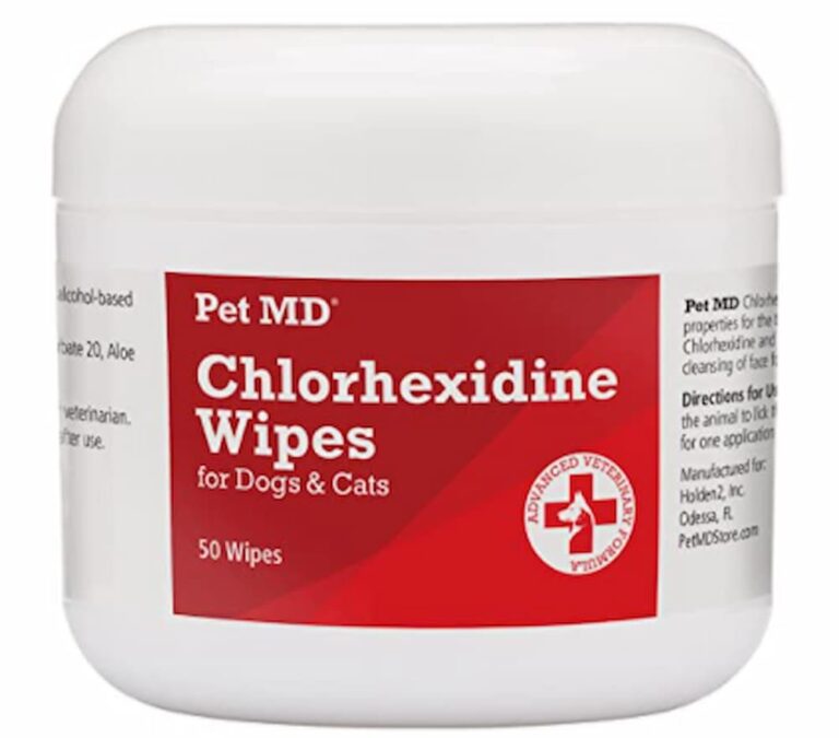 7 Easy Ways to Manage Yeast Infections in Dogs Great Pet Care