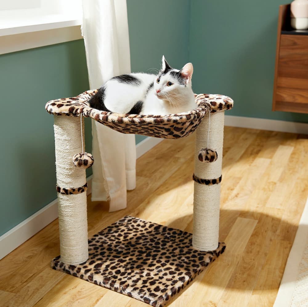Frisco hammock cat tree