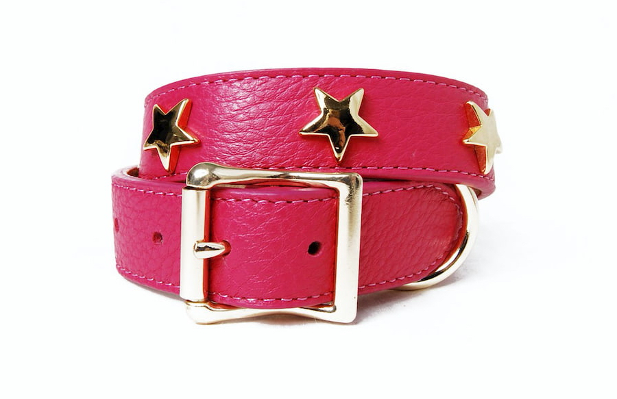 star studded dog collar