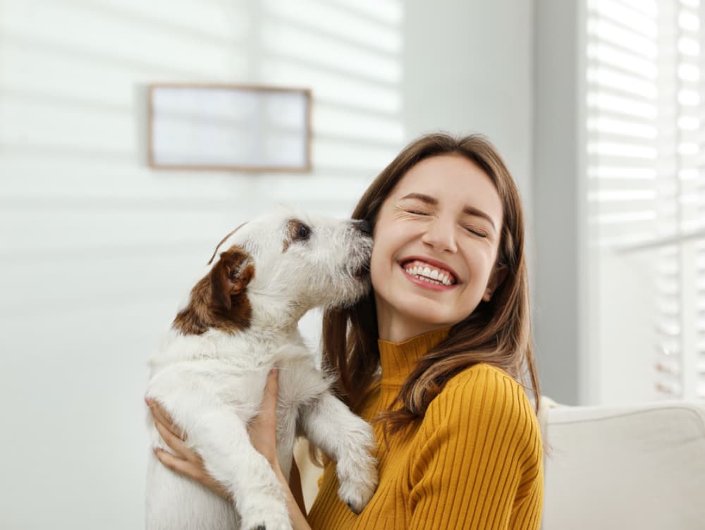 Easing Pet Separation Anxiety After COVID-19 Quarantine Easing Pet Separation Anxiety After COVID-19 Quarantine