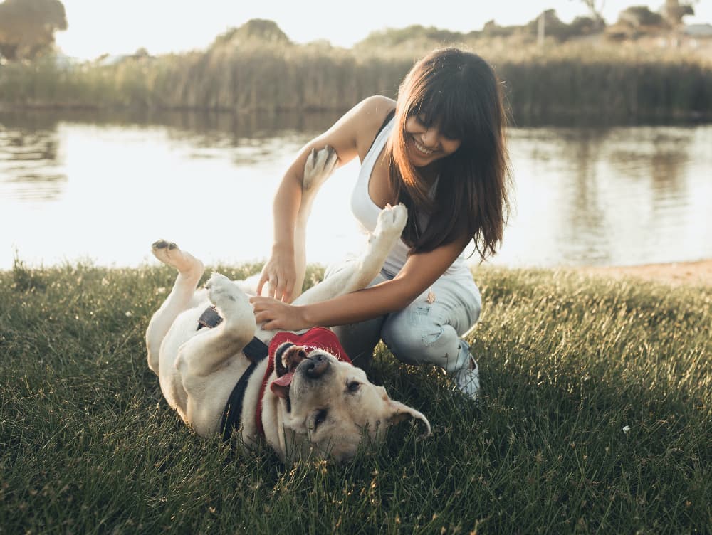 CBD Research and Pets: Benefits, Potential Side Effects and What You Should Know CBD Research and Pets: Benefits, Potential Side Effects and What You Should Know