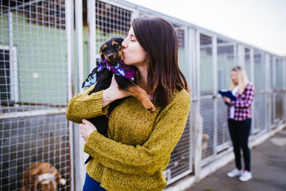 Woman adopting dog from animal shelter