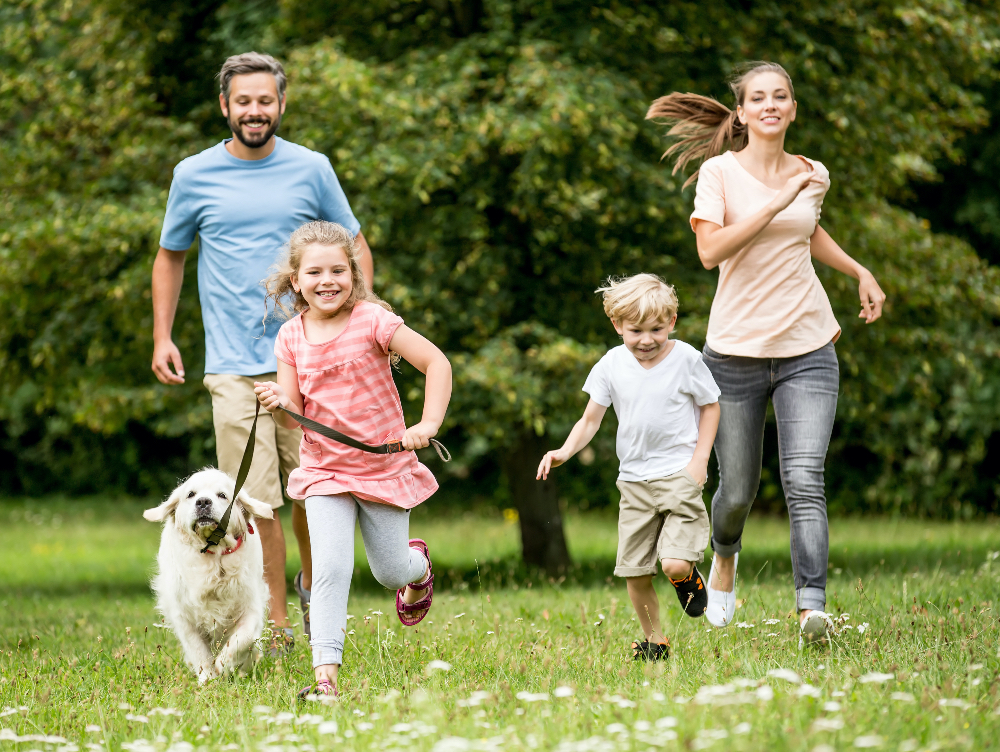 Preparing for Outdoor Activities With Your Pet Preparing for Outdoor Activities With Your Pet