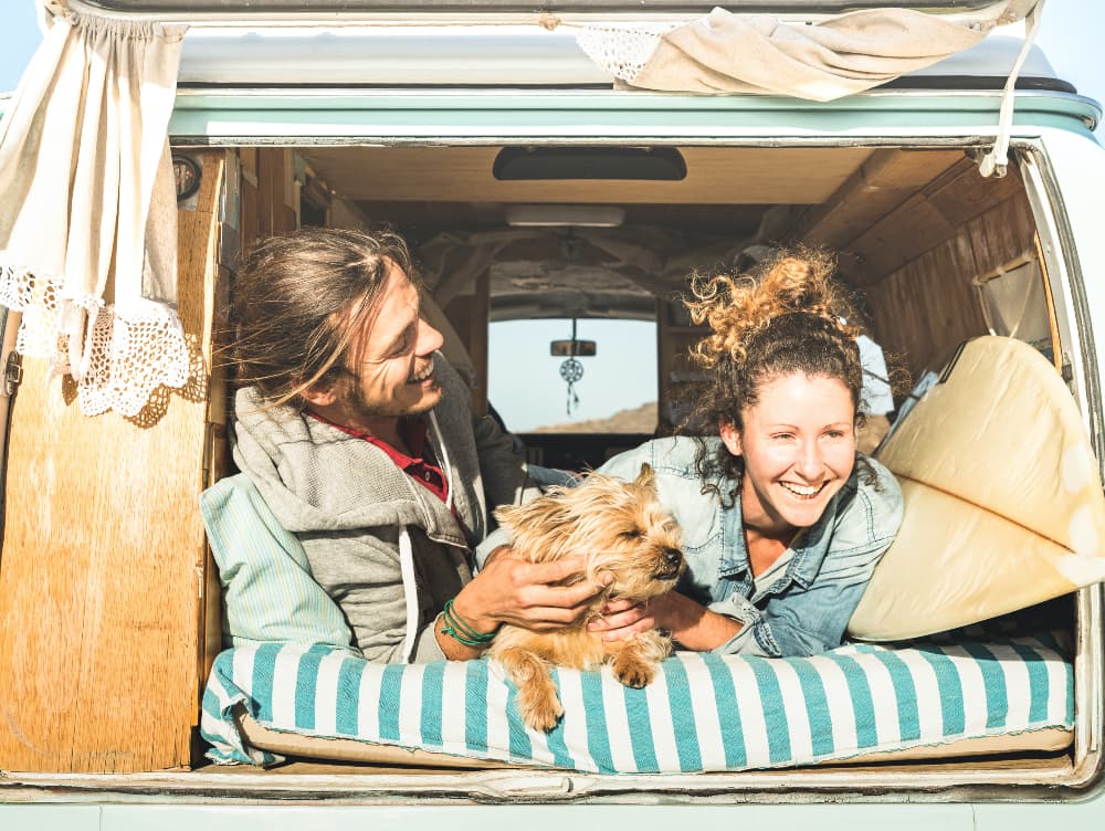The Ultimate Guide to Taking a Road Trip With Your Dog The Ultimate Guide to Taking a Road Trip With Your Dog