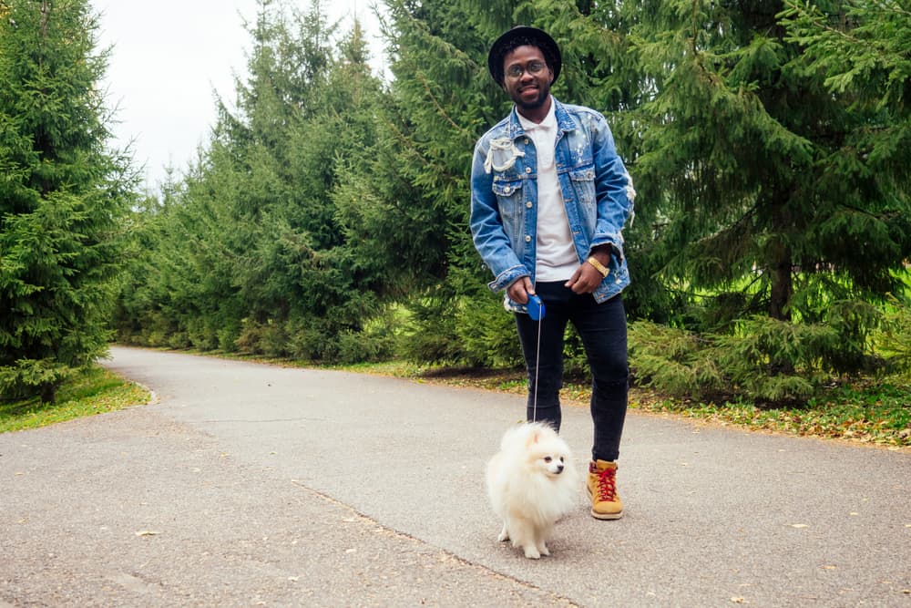 man walking dog outside