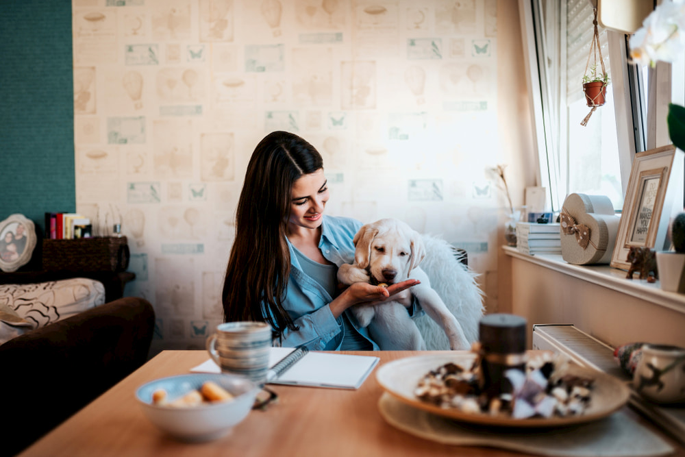 6 Reasons Your Dog May Need A Supplement 6 Reasons Your Dog May Need A Supplement