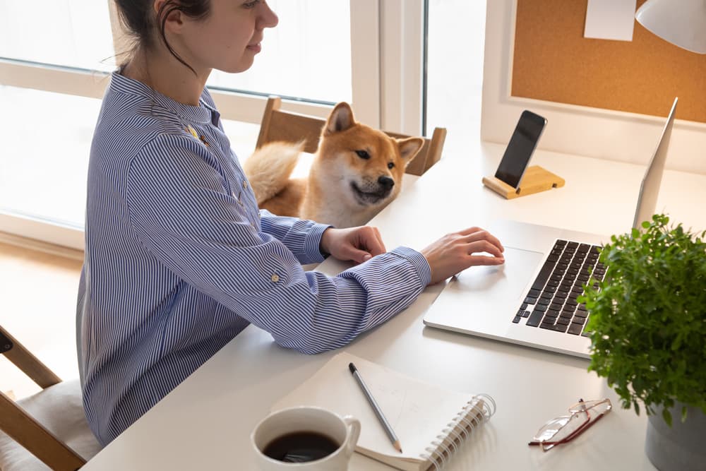 Woman researching dog supplements