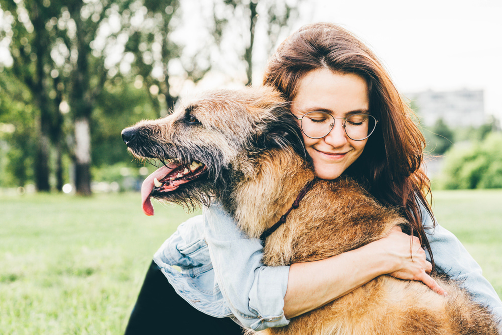 4 Ways to Give Your Older Dog Some Extra TLC 4 Ways to Give Your Older Dog Some Extra TLC
