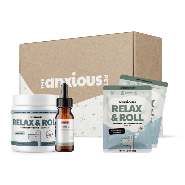 Why is My Dog Panting and Restless? The Anxious Pet